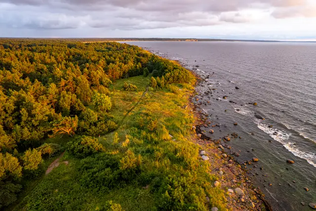 An aerial view of the autumn Baltic coastline.